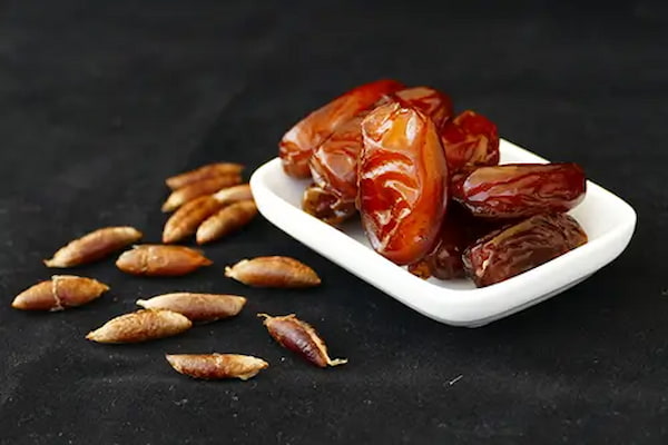 تصویر 1 از خرید و قیمت روغن هسته خرما اصل + فروش عمده